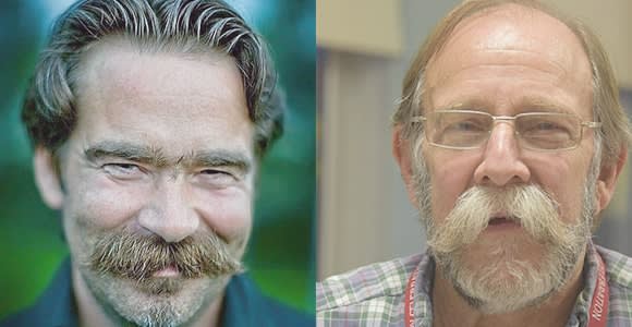 Walrus Mustache Similar to the chevron moustache
